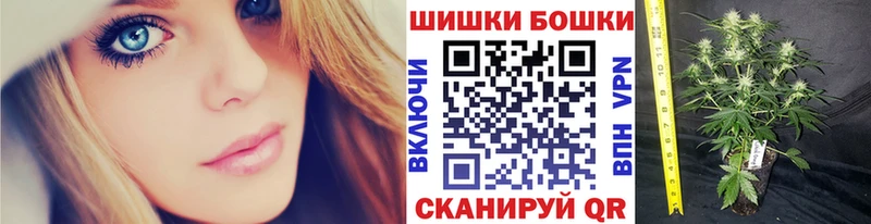 COCAIN Калининград