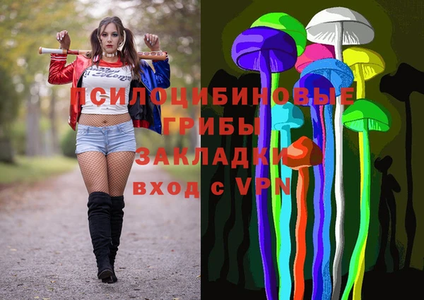 мдпв Михайловск