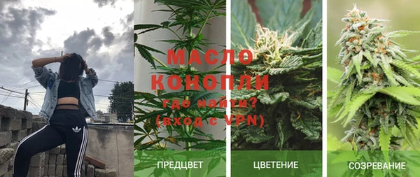 мдпв Михайловск
