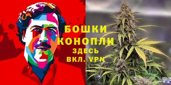 мдпв Михайловск