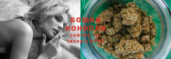 мдпв Михайловск