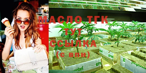 мдпв Михайловск