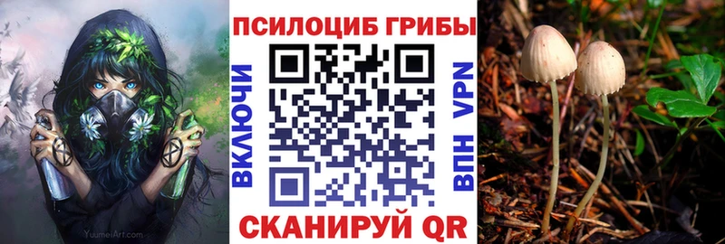 купить  сайты  Калининград  Галлюциногенные грибы прущие грибы 