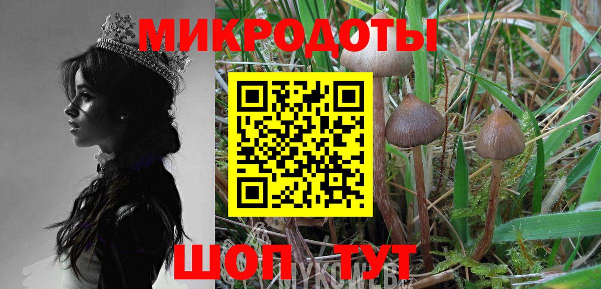 Псилоцибиновые грибы Magic Shrooms  Вход с VPN  Псилоцибиновые грибы Psilocybine cubensis  Калининград 